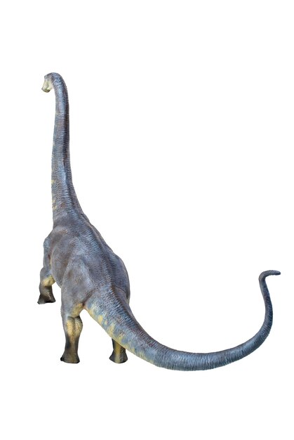 Dinosaurus brontosaurus geïsoleerde achtergrond