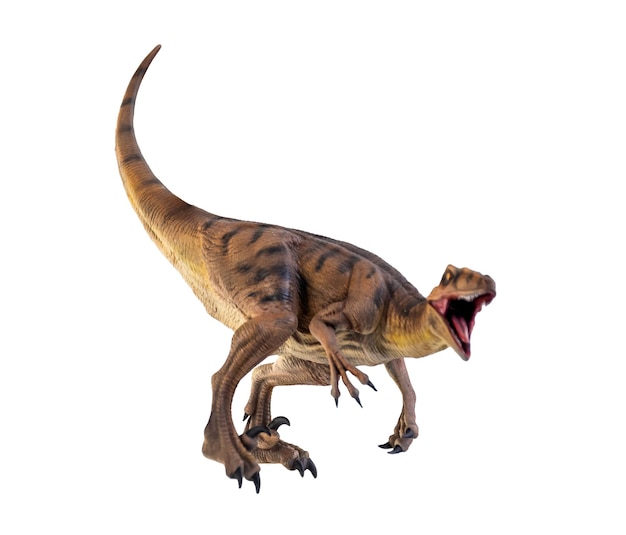 dinosaurus Velociraptor geïsoleerde achtergrond
