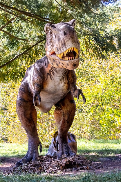 Foto dinosaurusmodel in het park. gigantische tyrannosaurus op een tentoonstelling in het park op een zonnige zomerdag