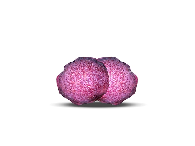 ダイオスコレア・アラタ (Dioscorea alata) は食事補充剤や民<unk>薬として使用される紫のヤムです