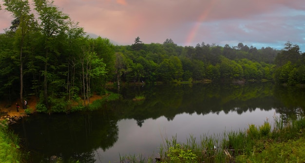 Dipsiz Lake in Tesvikiye surrounded by trees