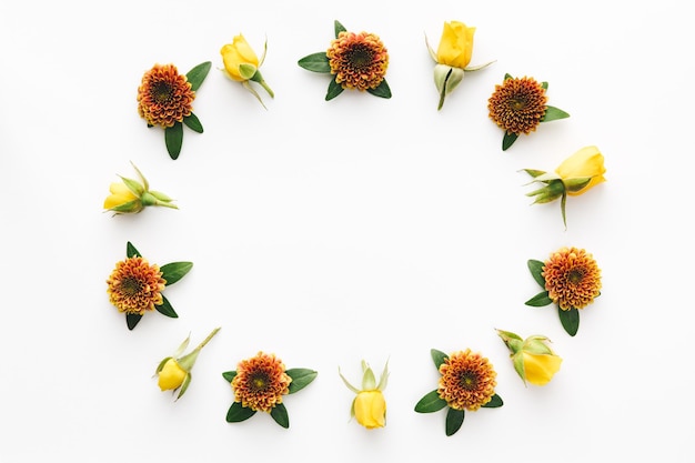 Foto direct boven bloemen op een witte achtergrond