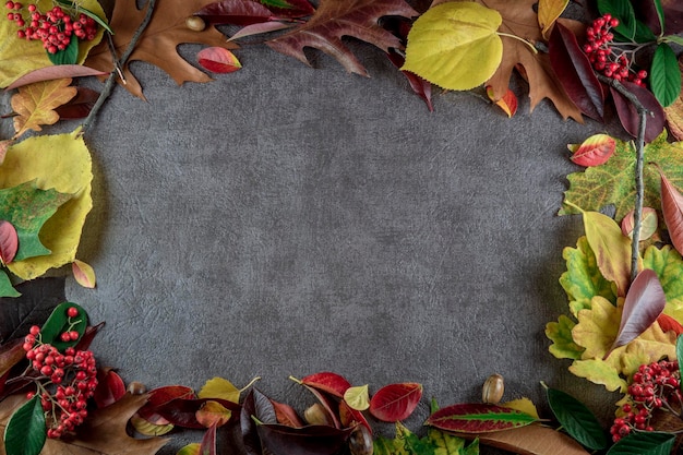 Direct boven opname van herfstbladeren op tafel
