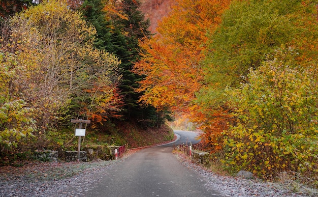 Direct road to Artiga de Lin on an autumn day