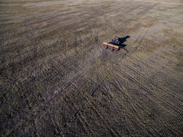 Direct sowing in the Argentine field La Pampa Province Argentina