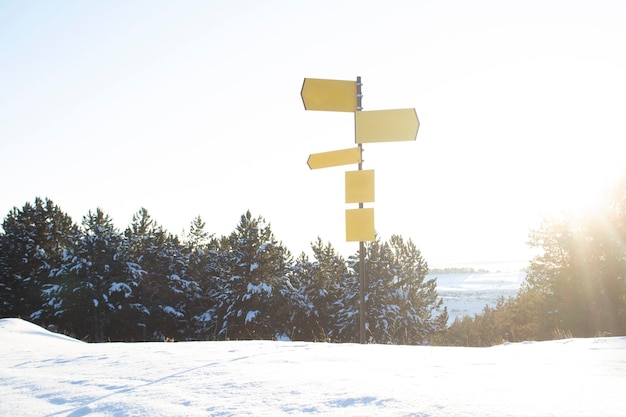 Direction signs in a pine forest in winter