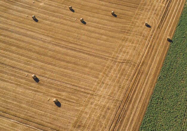 Directly above aerial shot of hay bales on agricultural field