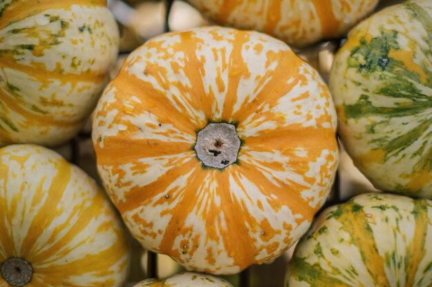 Directly above full frame shot of pumpkins