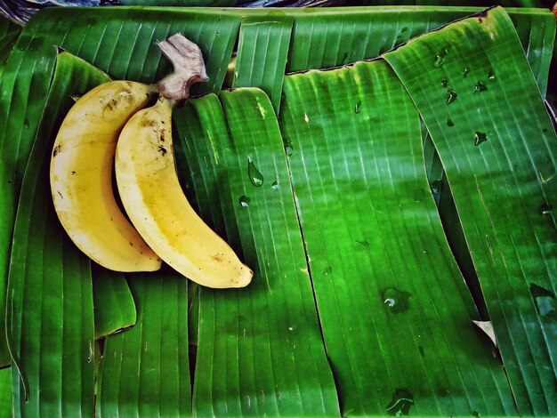 Photo directly above shot of banana leaf on wood