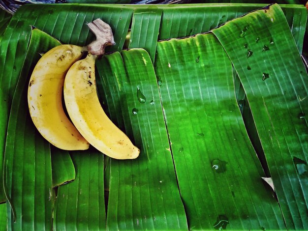 Foto direttamente sopra il colpo di foglia di banana sul legno