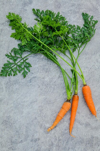 Photo directly above shot of carrots on table