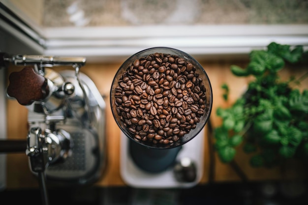 directly above shot of coffee beans in machinery