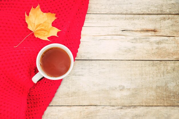 Directly above shot of coffee cup on table