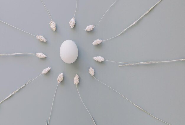 Directly above shot of egg surrounded with white plants on gray background