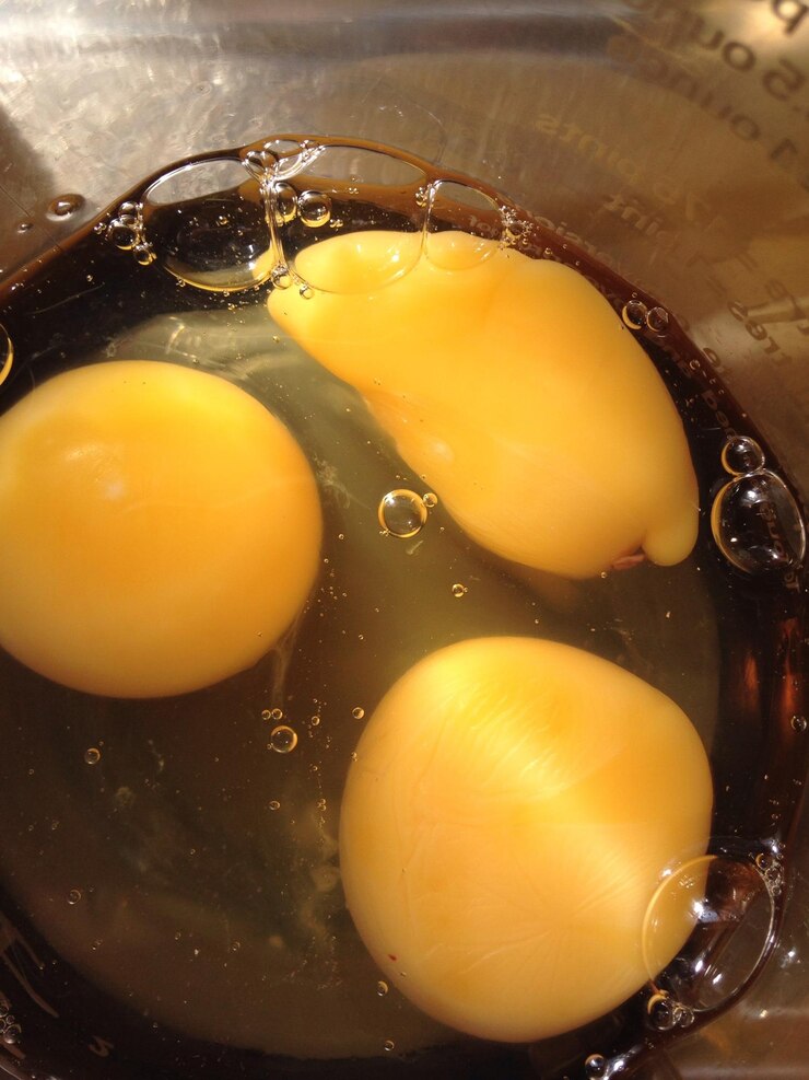 Photo directly above shot of egg yolks in container