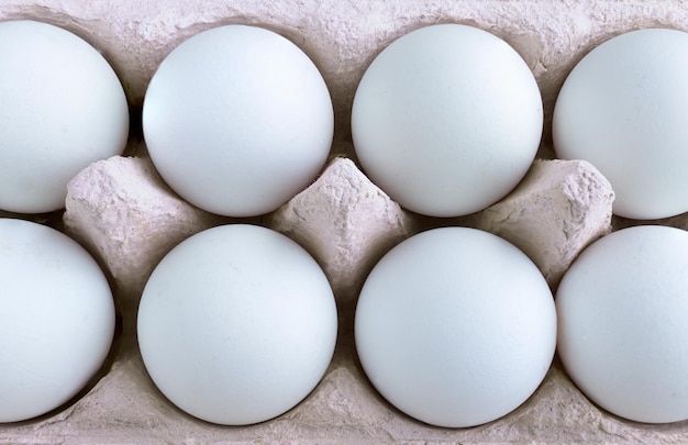 directly above shot of eggs in carton