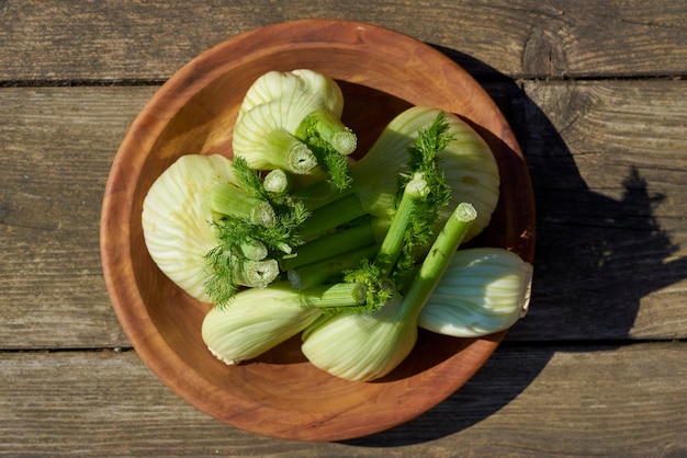 Directly above shot of fennel in plate on table