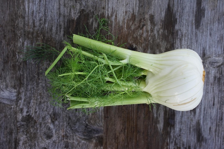 Photo directly above shot of fennel on wooden table