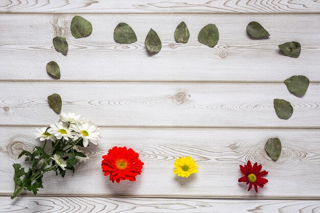 Photo directly above shot of flowering plants on table