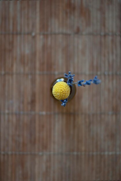 Photo directly above shot of flowers in vase