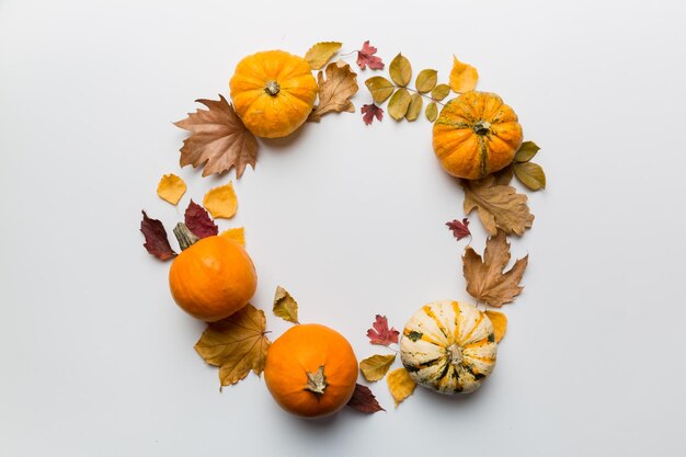 Directly above shot of fruits on white background