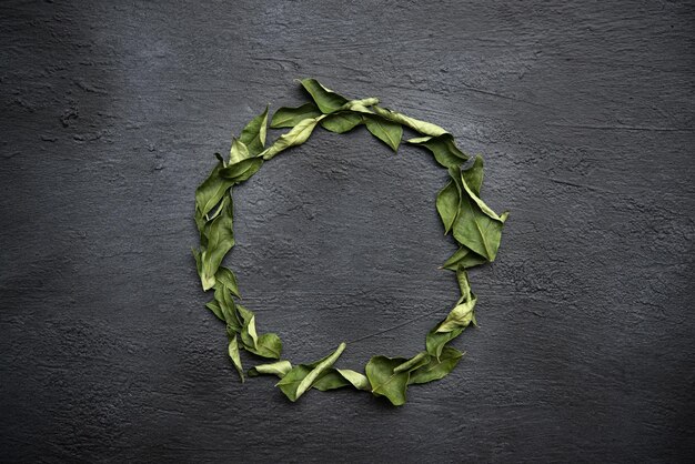 Photo directly above shot of leaf on plant against black background