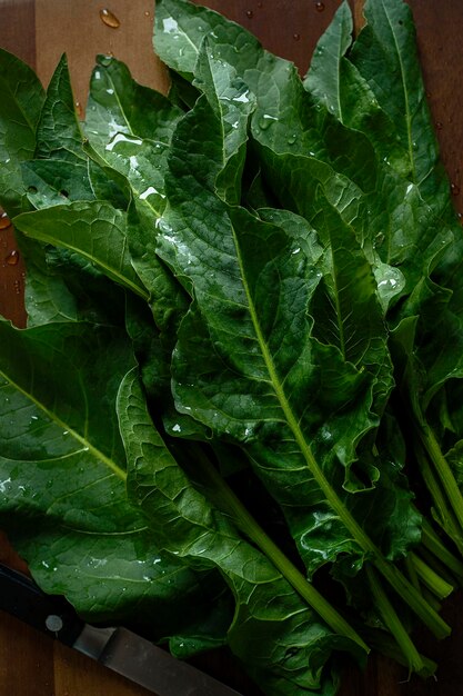 Photo directly above shot of leaf vegetables on cutting board