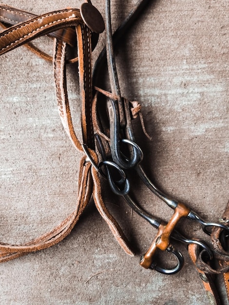 Directly above shot of leather belts on floor