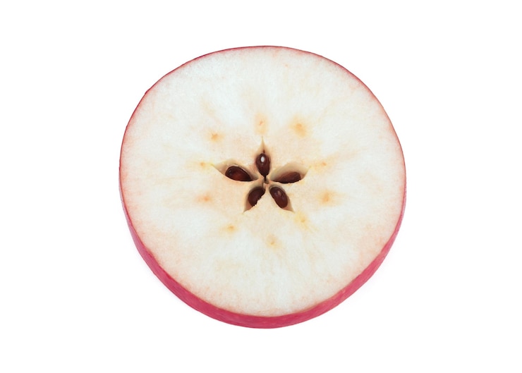 Photo directly above shot of lemon slice over white background