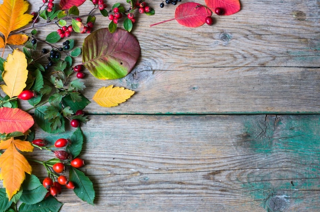 Directly above shot of multi colored fruits on table