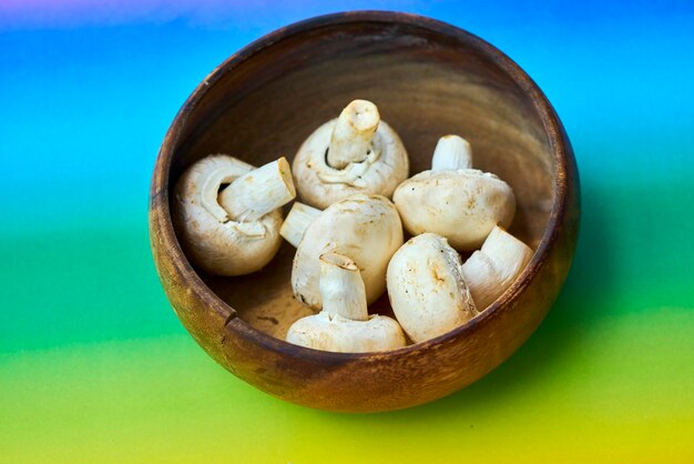 Photo directly above shot of mushrooms in bowl against multi colored background