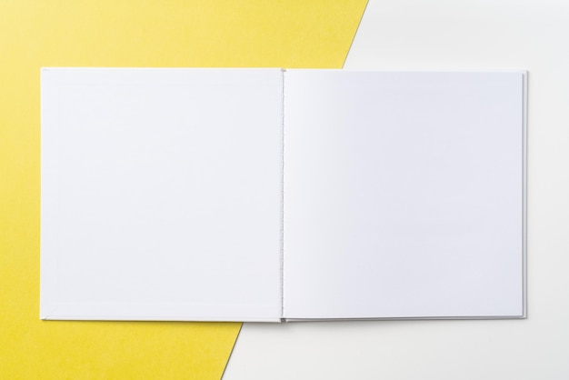 directly above shot of open book on colored background