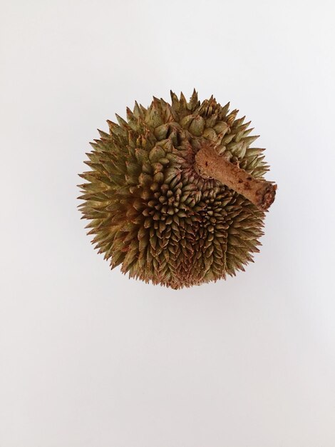 directly above shot of pineapple against white background