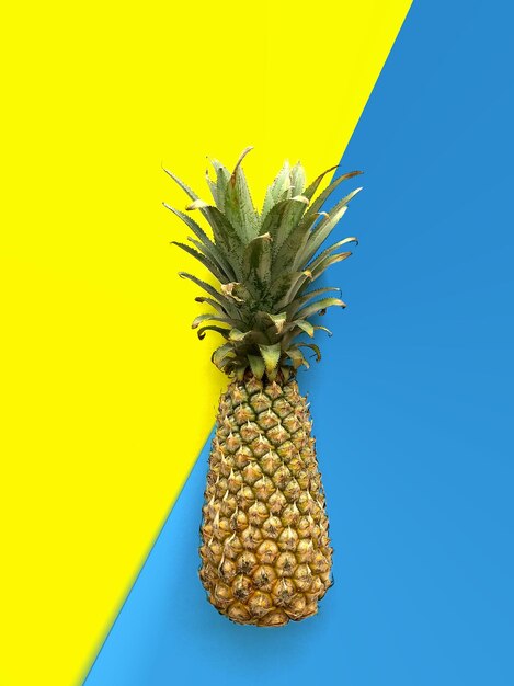 Directly above shot of pineapple over colored background