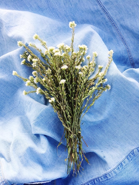 Directly above shot of plants on blue textile