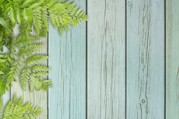 Photo directly above shot of plants on floorboard