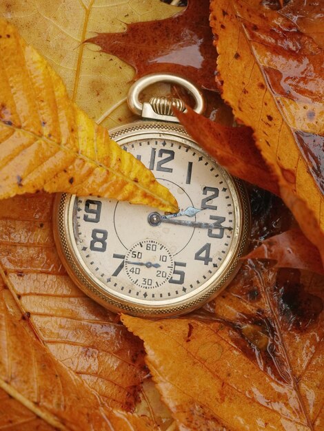 Foto direttamente sopra lo scatto di un orologio da tasca in mezzo alle foglie umide dell'autunno