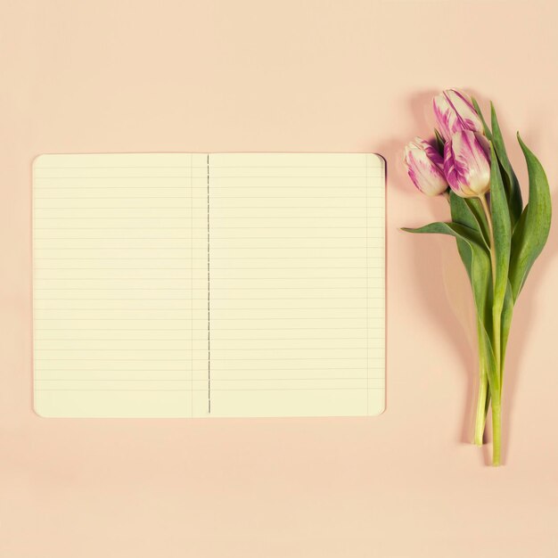 Photo directly above shot of potted plant on book