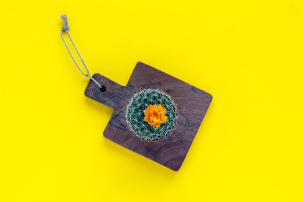 Directly above shot of potted plant on cutting board over yellow background