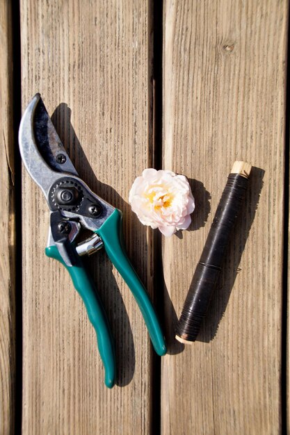 Directly above shot of rose and pruning shears with string on wooden table