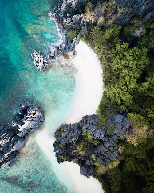 directly above shot sea by forest