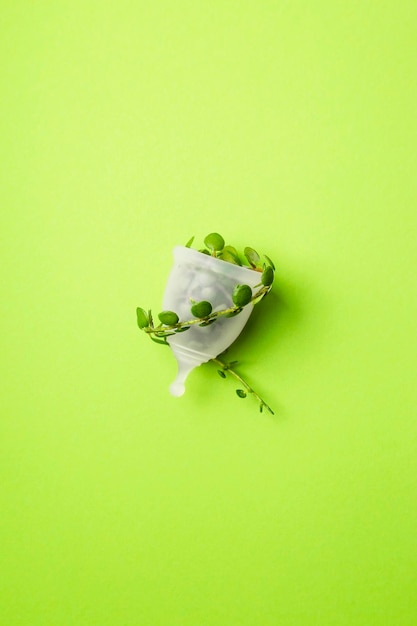 Directly above shot of seashell against yellow background