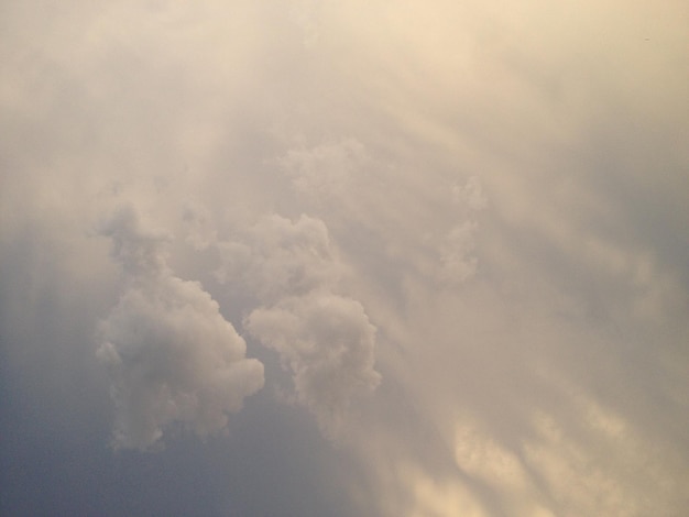 directly below shot of sky