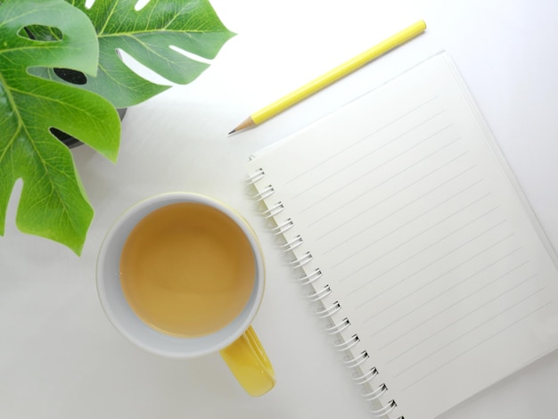 Directly above shot of tea cup and spiral notebook on white background