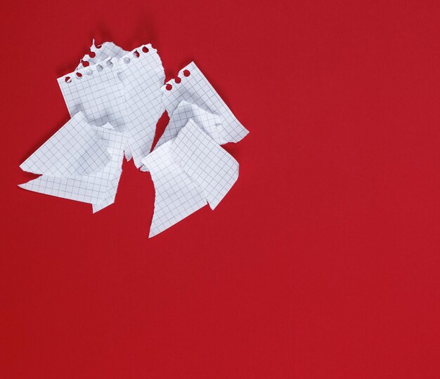 Photo directly above shot of torn papers on red background