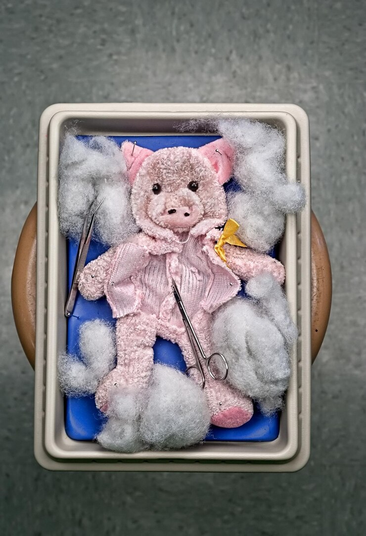 Photo directly above shot of tweezers and scissors with toy in tray