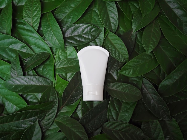 Directly above shot of white beauty product on green leafs