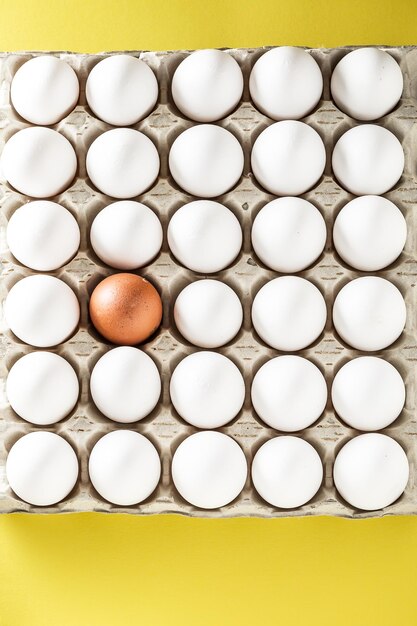 Photo directly above shot of white bread