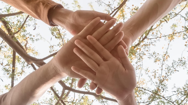 directly below view of friends stacking hands against trees