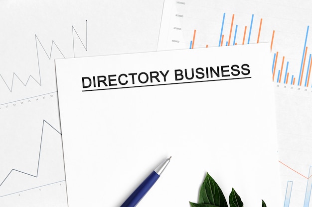 Directory Bedrijfsdocument met grafieken, diagrammen en blauwe pen